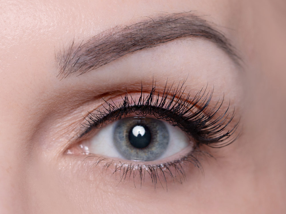 Buddleia Wimpern Buddleia Wimpern