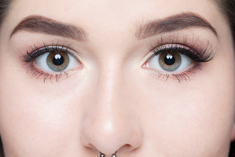 Davallia Wimpern Davallia Wimpern