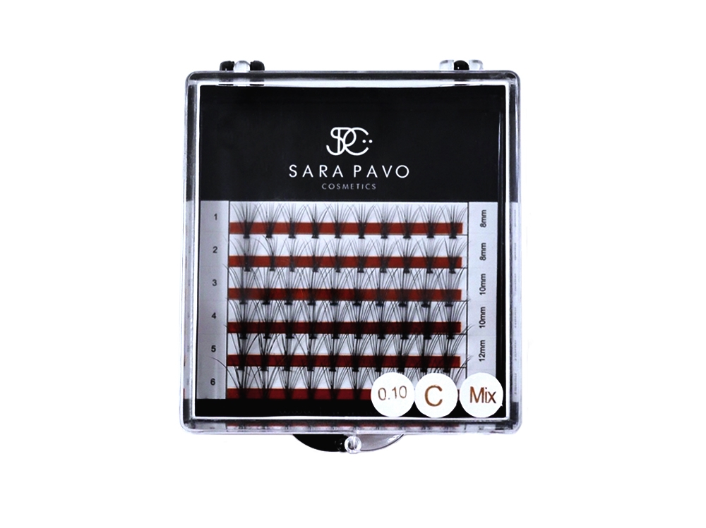 Opuntia Wimpern Opuntia Wimpern